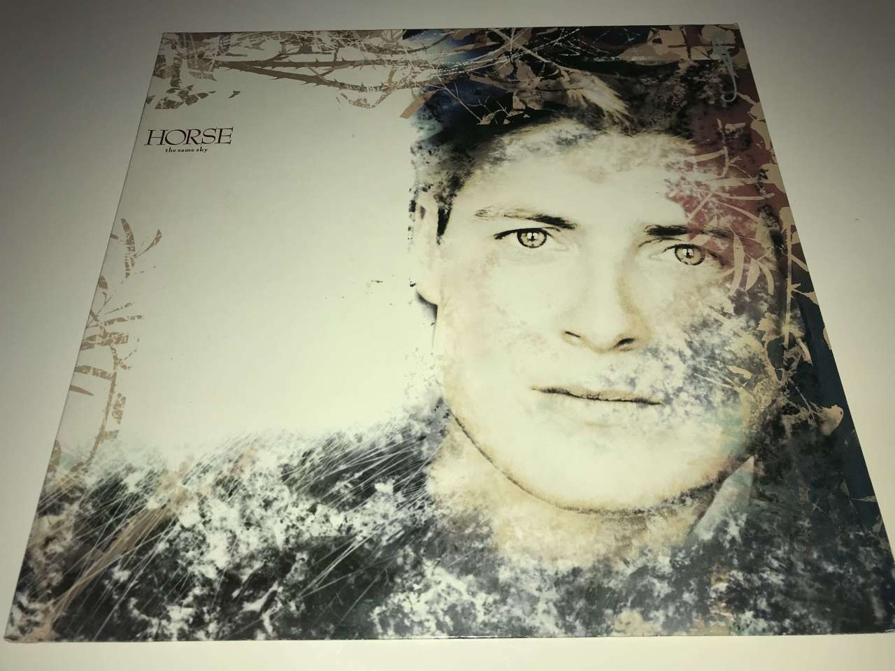 Horse – The Same Sky