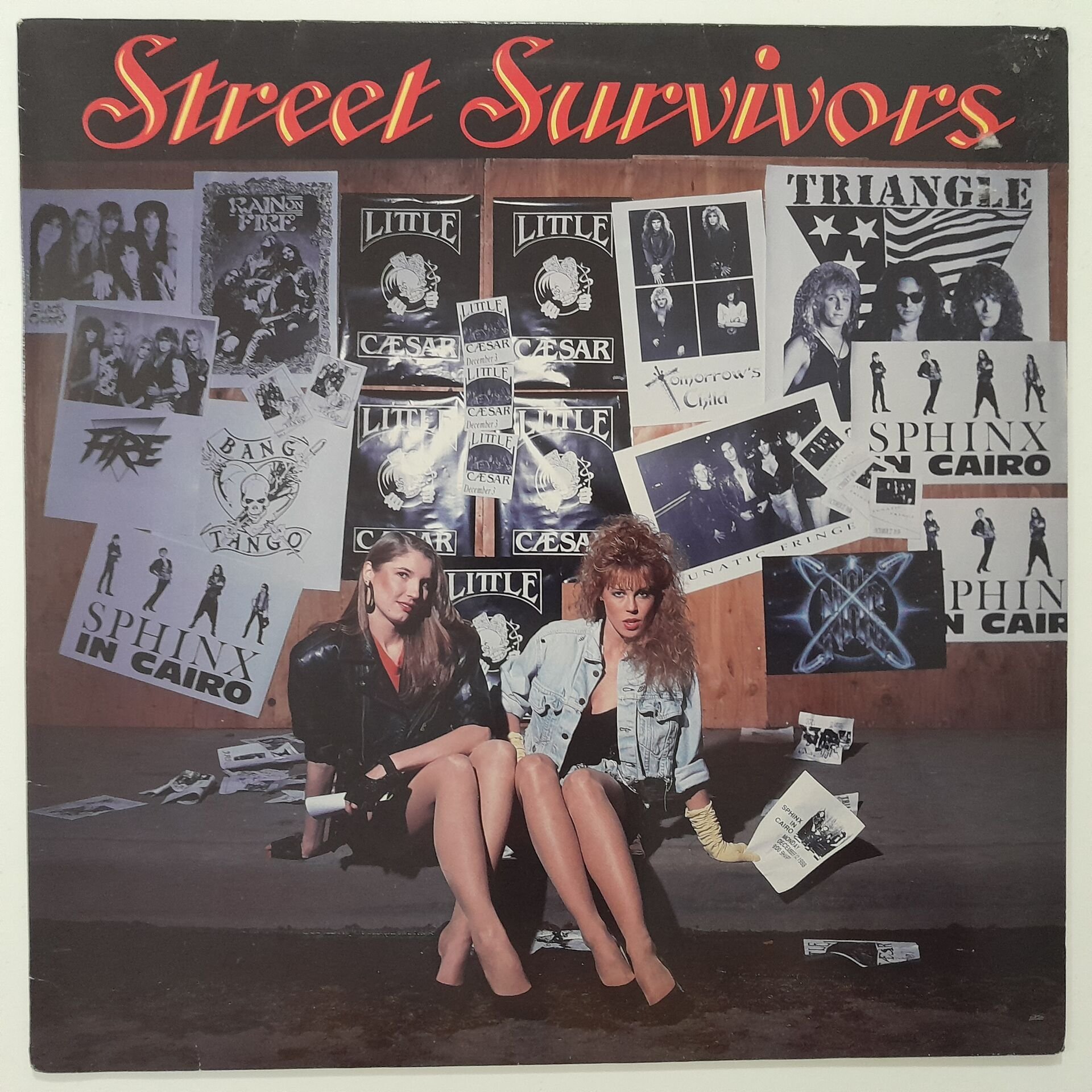 Street Survivors