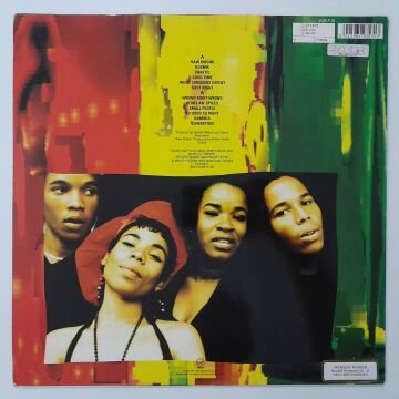 Ziggy Marley And The Melody Makers – Jahmekya