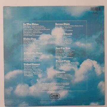 Peter Green  ‎– In The Skies