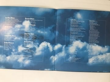 Peter Green  ‎– In The Skies