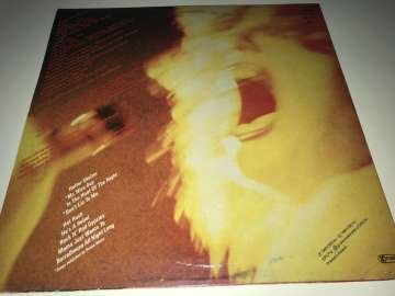 Dianne Heatherington ‎– Heatherington Rocks