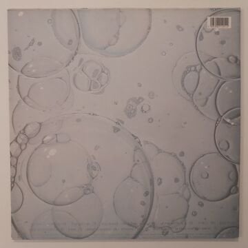 The Sugar Cubes – Here Today, Tomorrow Next Week!