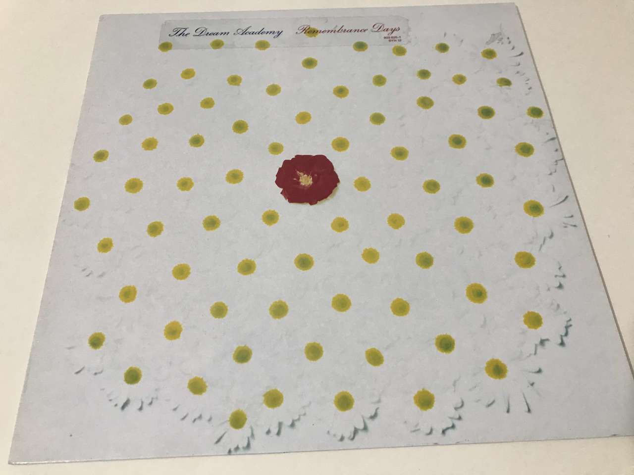 The Dream Academy – Remembrance Days