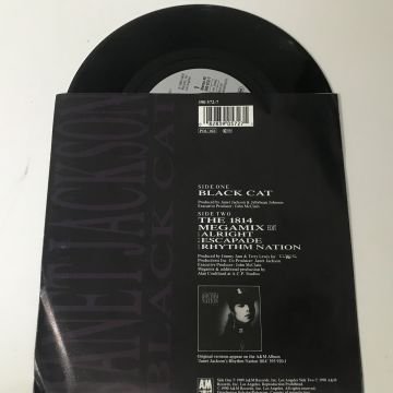 Janet Jackson – Black Cat