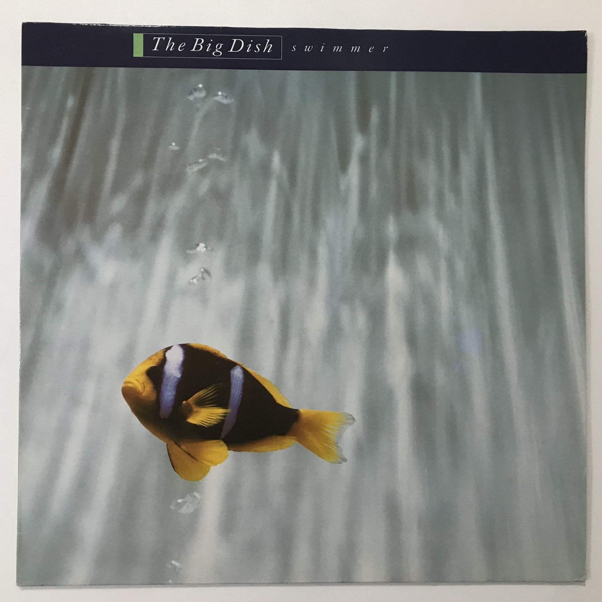 The Big Dish ‎– Swimmer