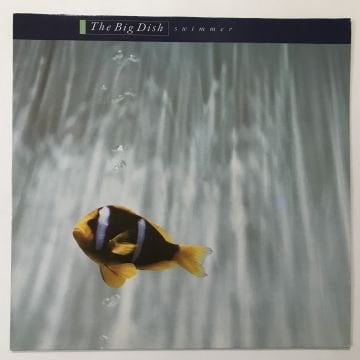 The Big Dish ‎– Swimmer
