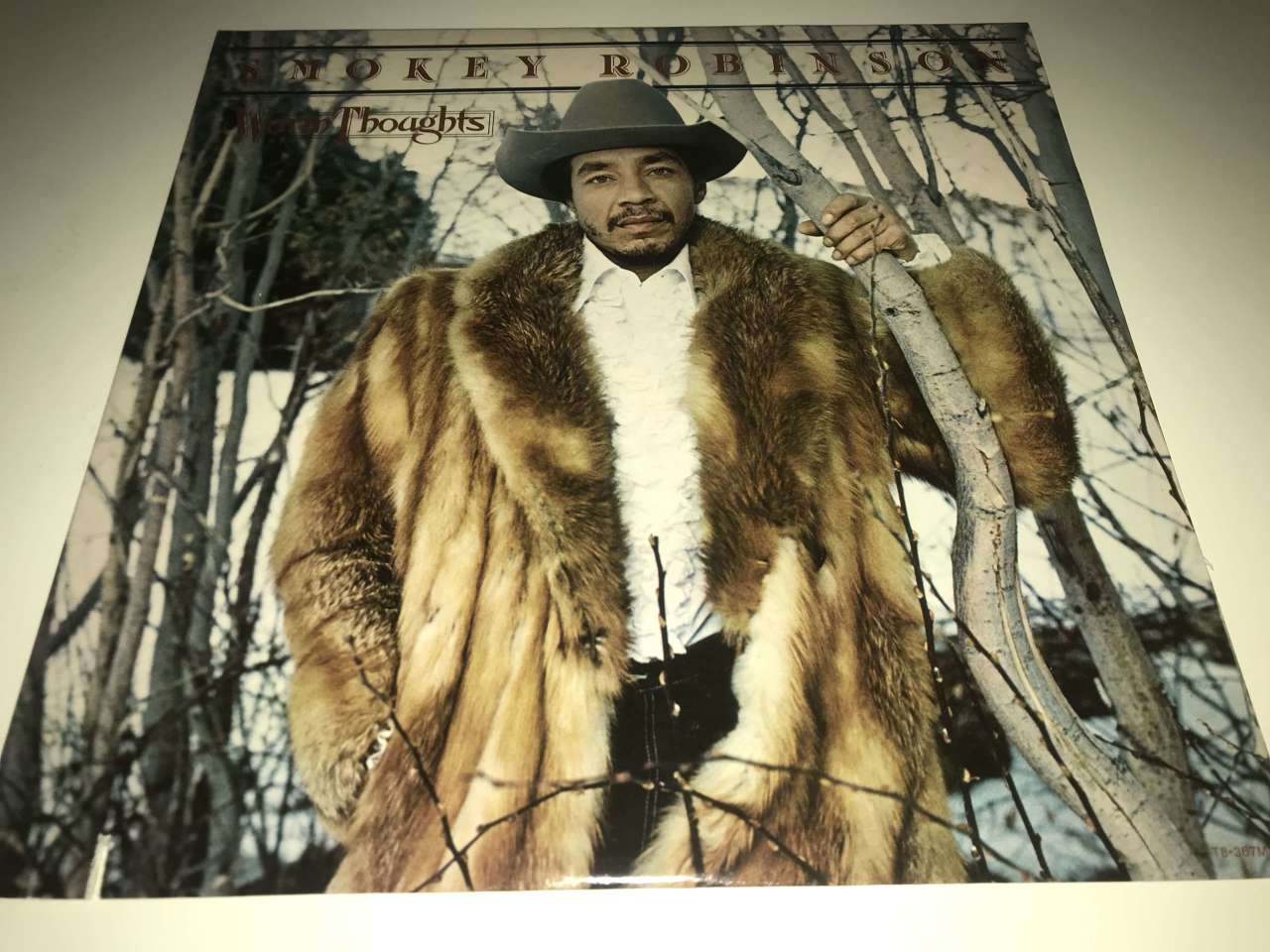 Smokey Robinson ‎– Warm Thoughts