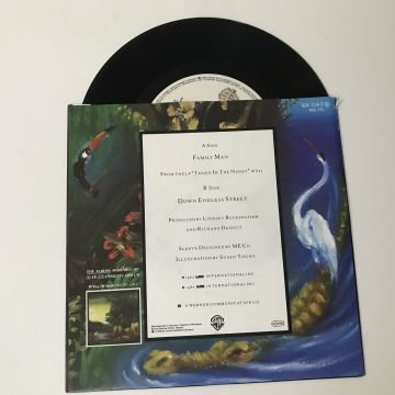 Fleetwood Mac – Family Man
