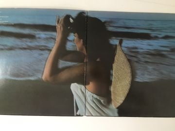 Linda Ronstadt ‎– Hasten Down The Wind