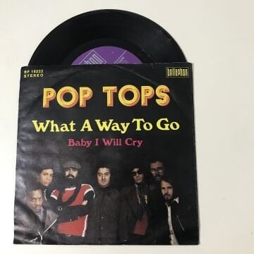 Pop Tops – What A Way To Go
