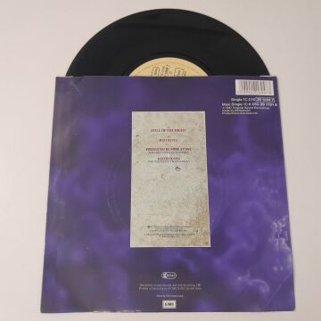 Whitesnake – Still Of The Night