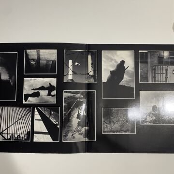 Pink Floyd ‎– Animals