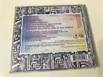 The Artist (Formerly Known As Prince) – The Beautiful Experience