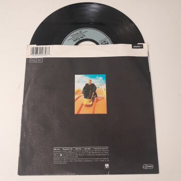 Black – Wonderful Life