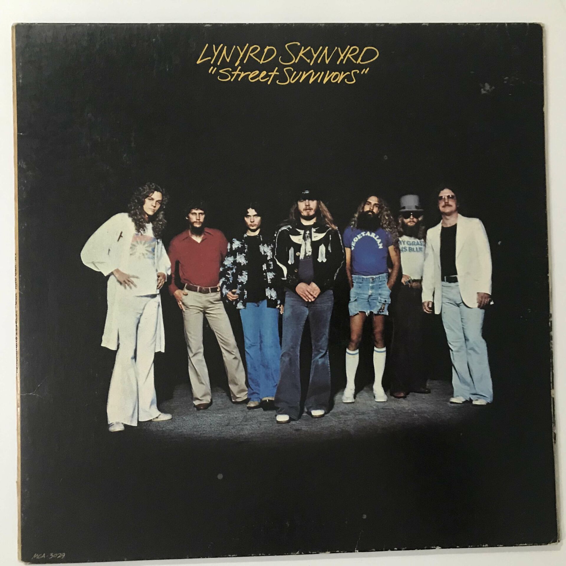 Lynyrd Skynyrd – Street Survivors