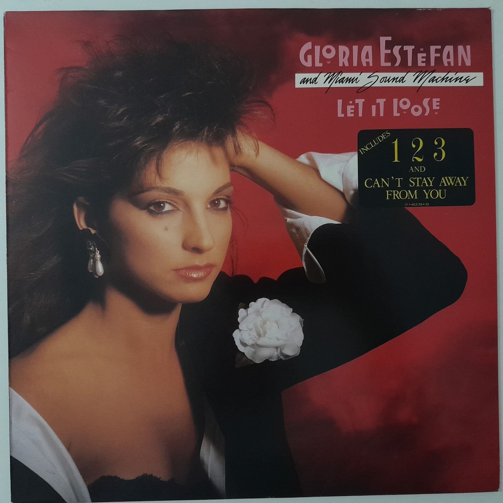Gloria Estefan And Miami Sound Machine – Let It Loose