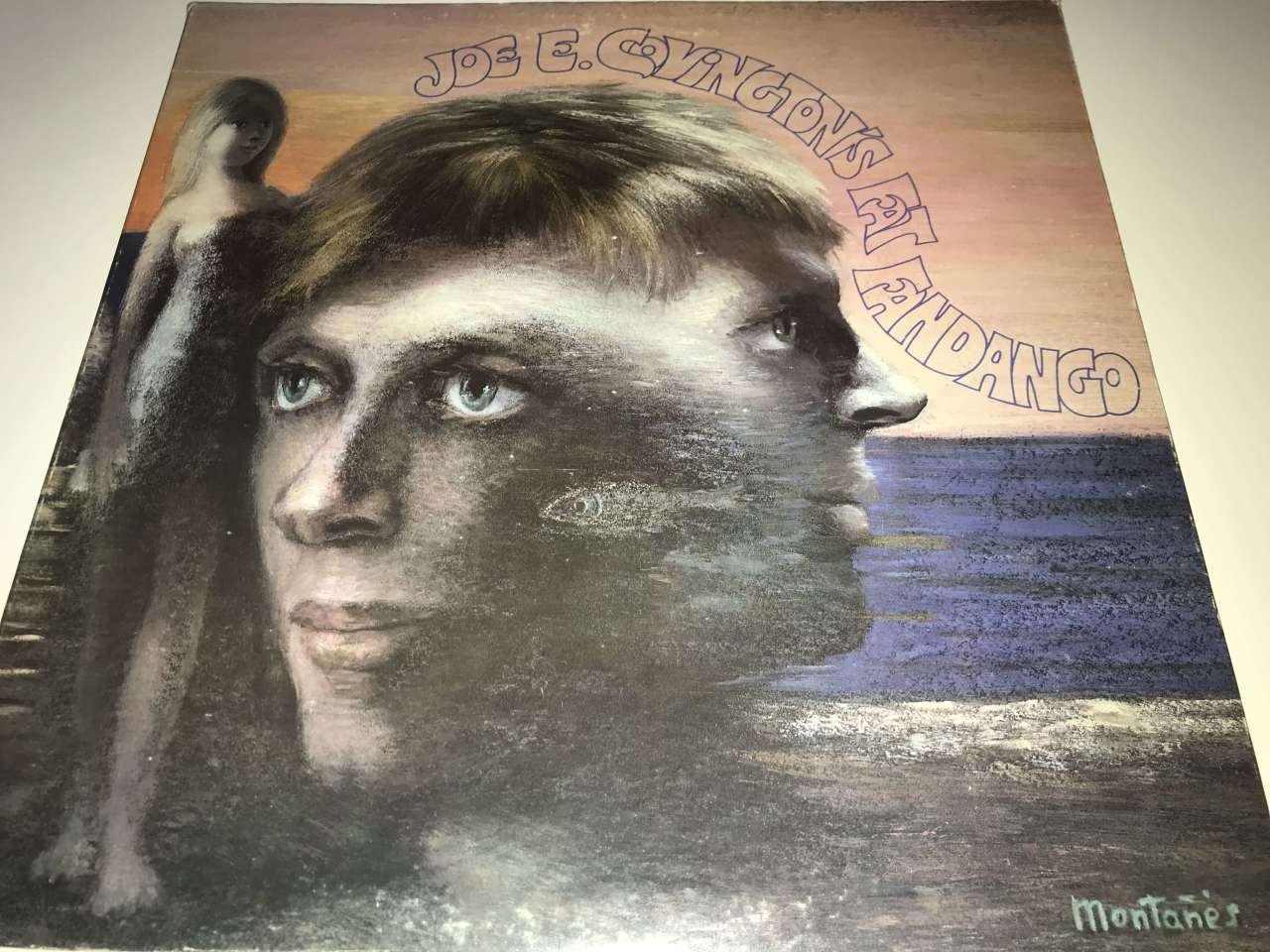 Joe E. Covington's Fat Fandango ‎– Joe E. Covington's Fat Fandango