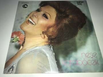 Neşe Karaböcek - Gecenin Matemi