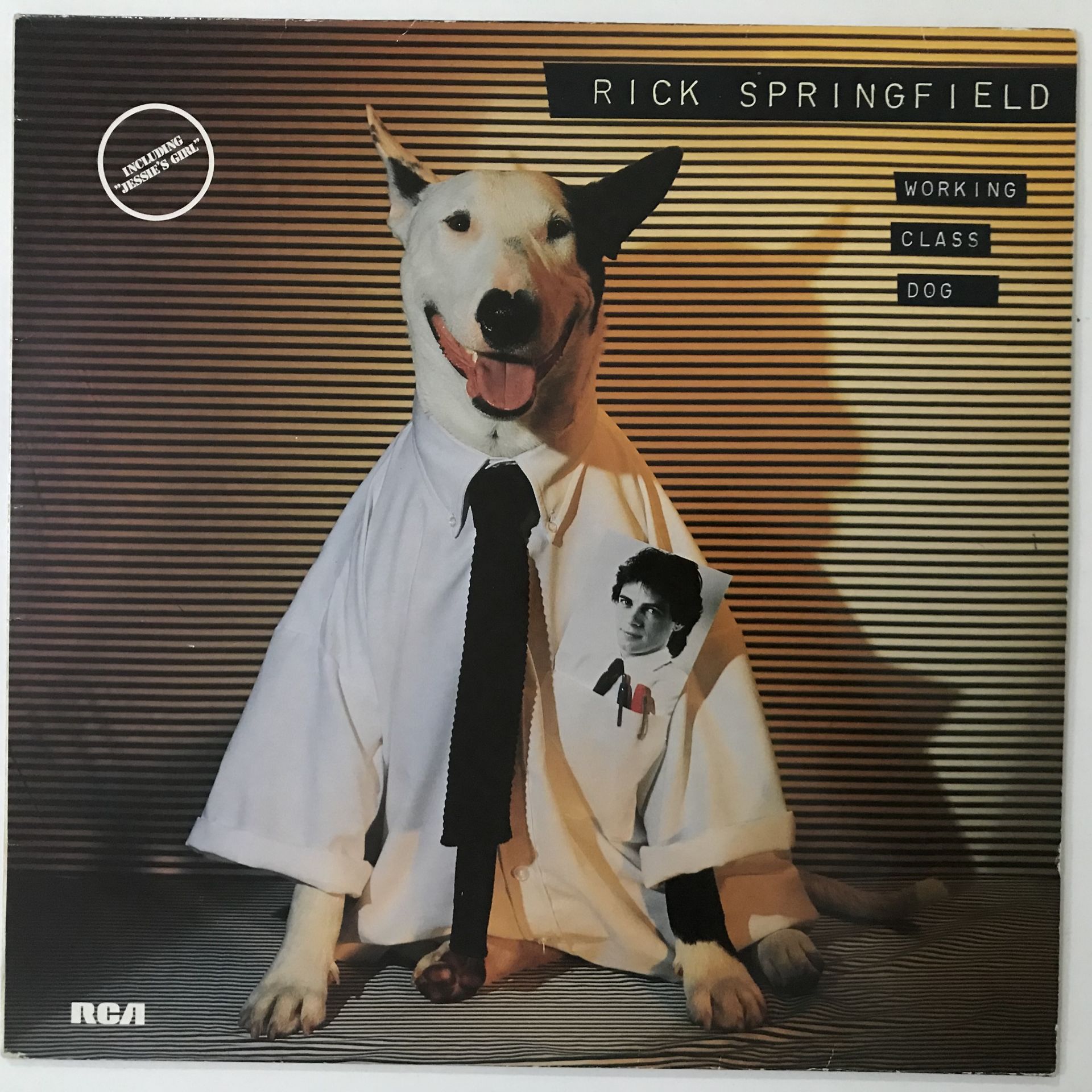 Rick Springfield – Working Class Dog