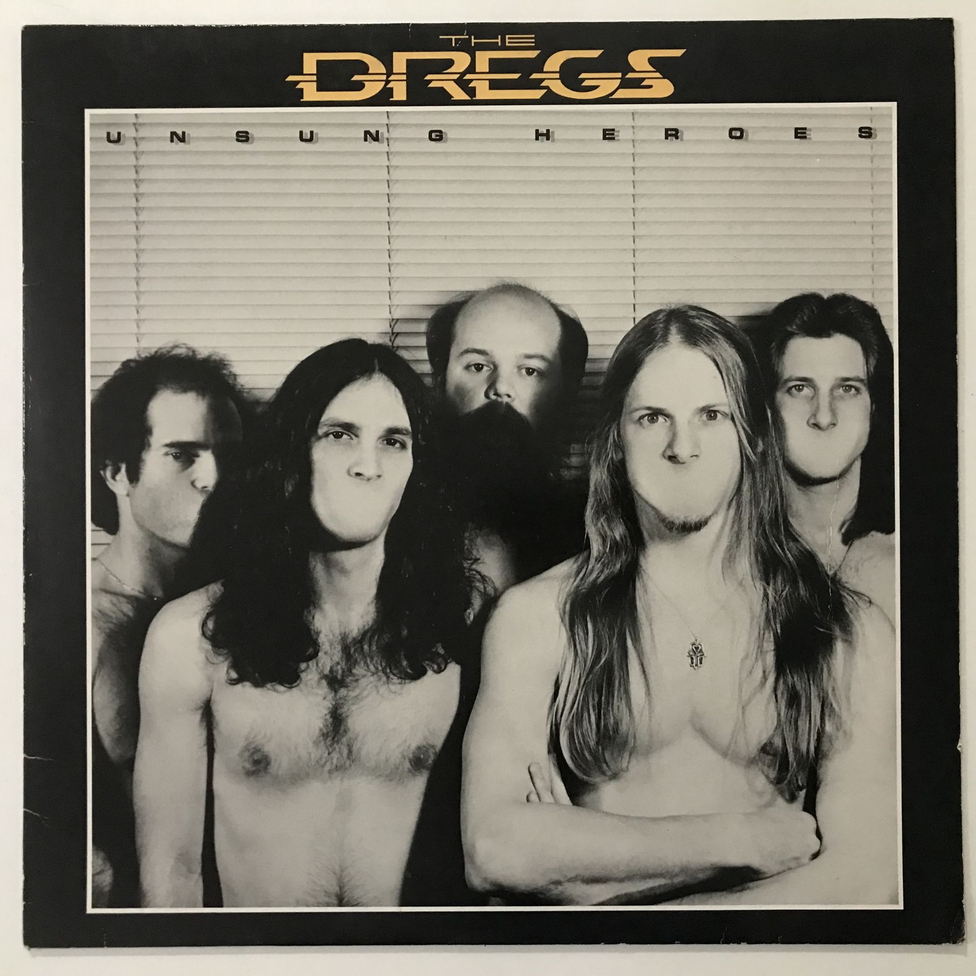The Dregs ‎– Unsung Heroes