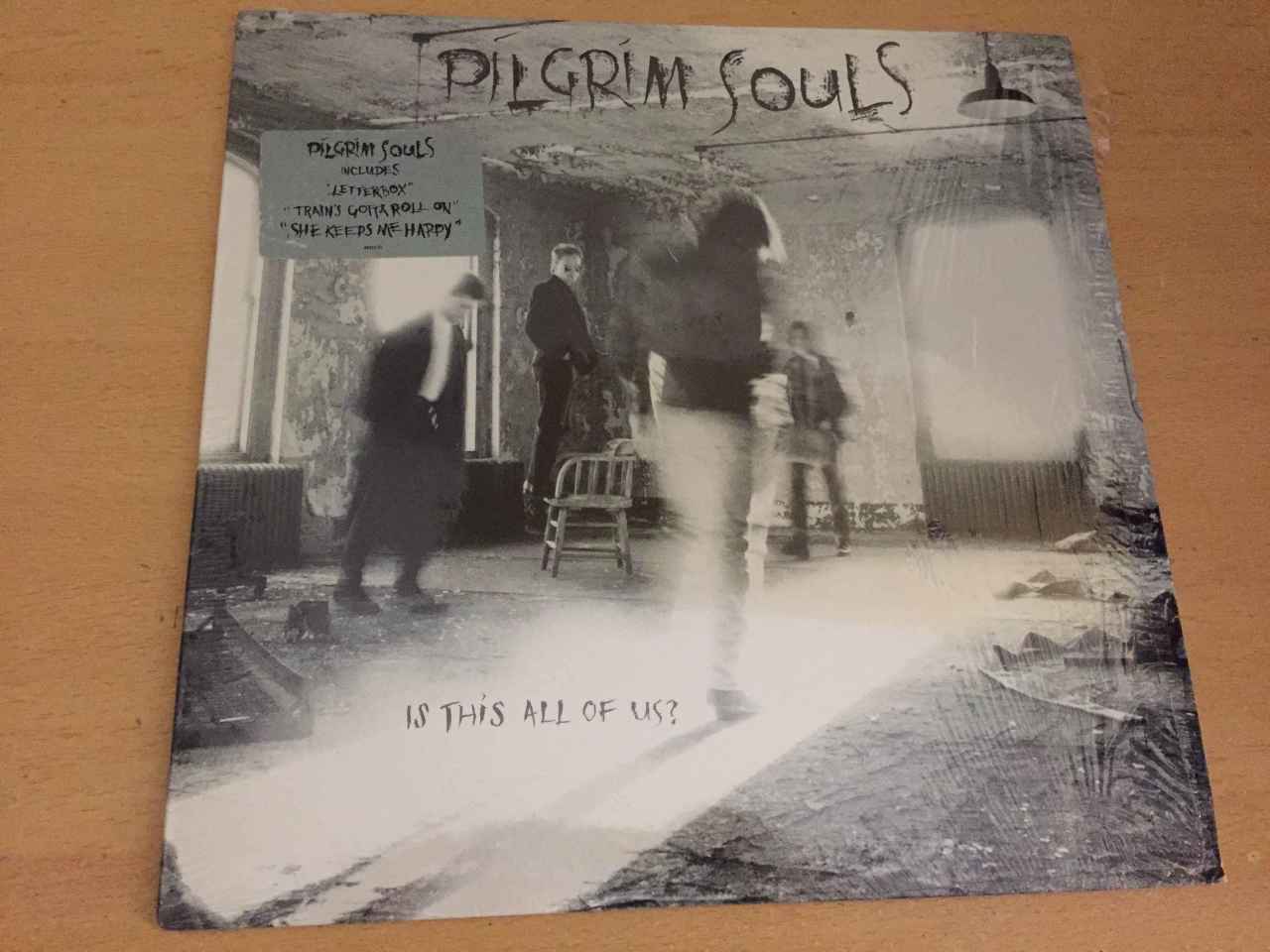 Pilgrim Souls ‎– Is This All Of Us?