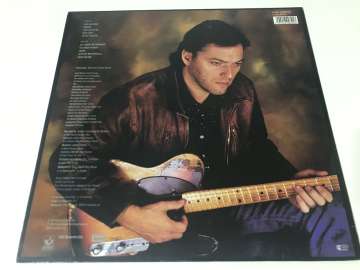 David Gilmour – About Face