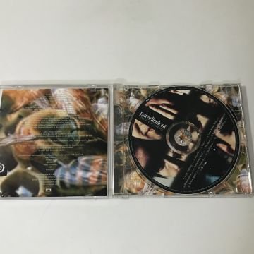 Paradise Lost – Believe In Nothing