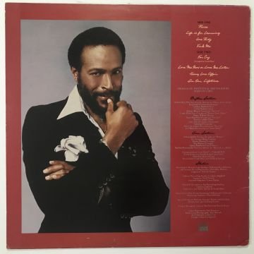 Marvin Gaye – In Our Lifetime