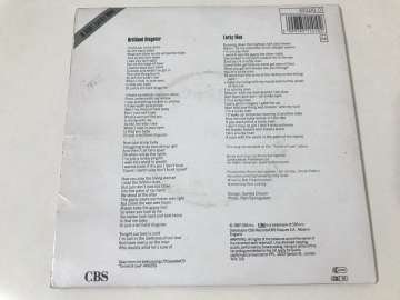 Bruce Springsteen – Brilliant Disguise