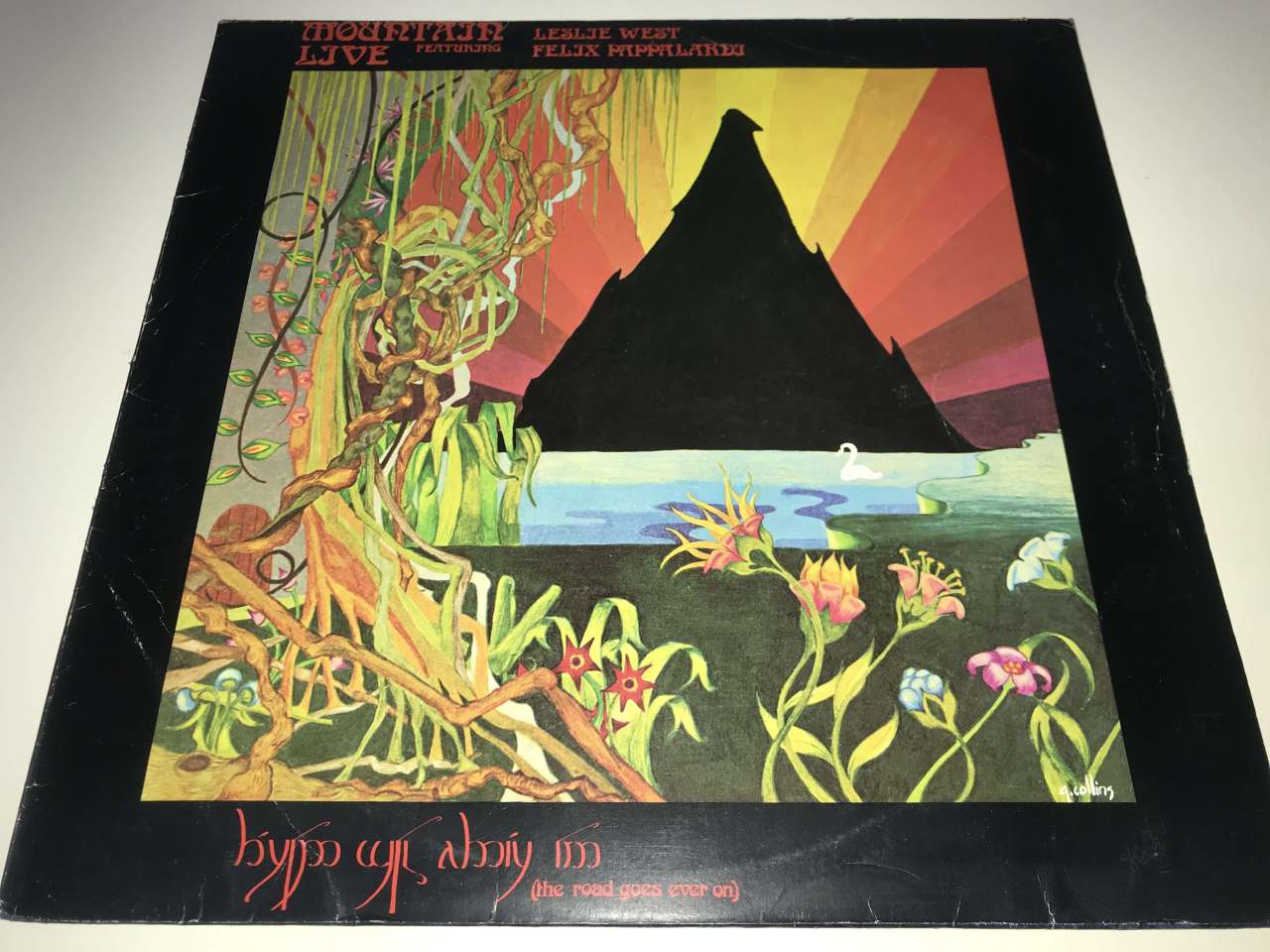 Mountain ‎– Live: The Road Goes Ever On