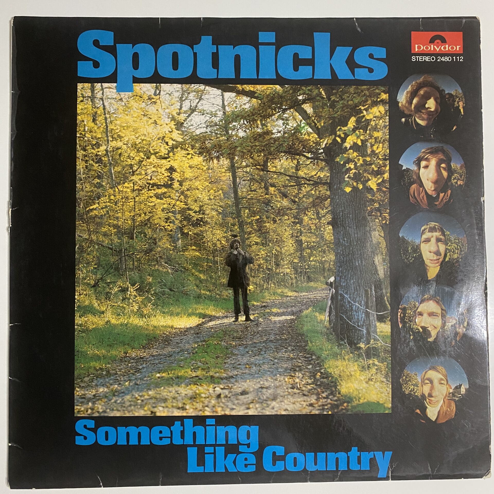 The Spotnicks ‎– Something Like Country