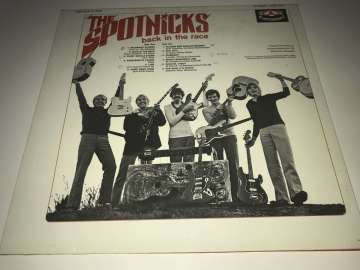 The Spotnicks ‎– Back In The Race