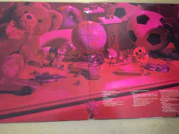 Planet P Project ‎– Pink World 2 LP