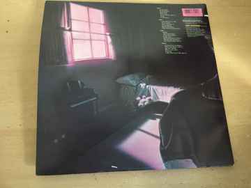 Planet P Project ‎– Pink World 2 LP