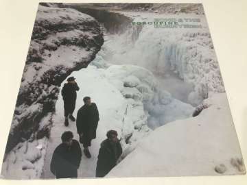Echo & The Bunnymen – Porcupine