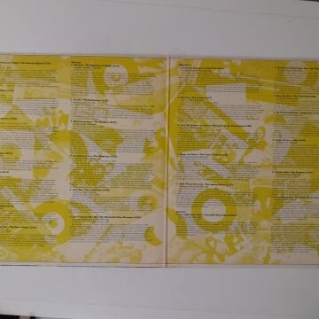 Nuggets (Original Artyfacts From The First Psychedelic Era 1965-1968) 2 LP