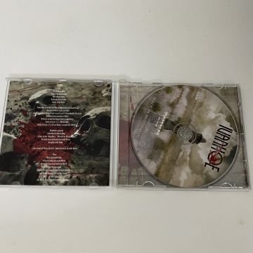 Ivanhoe – Walk In Mindfields