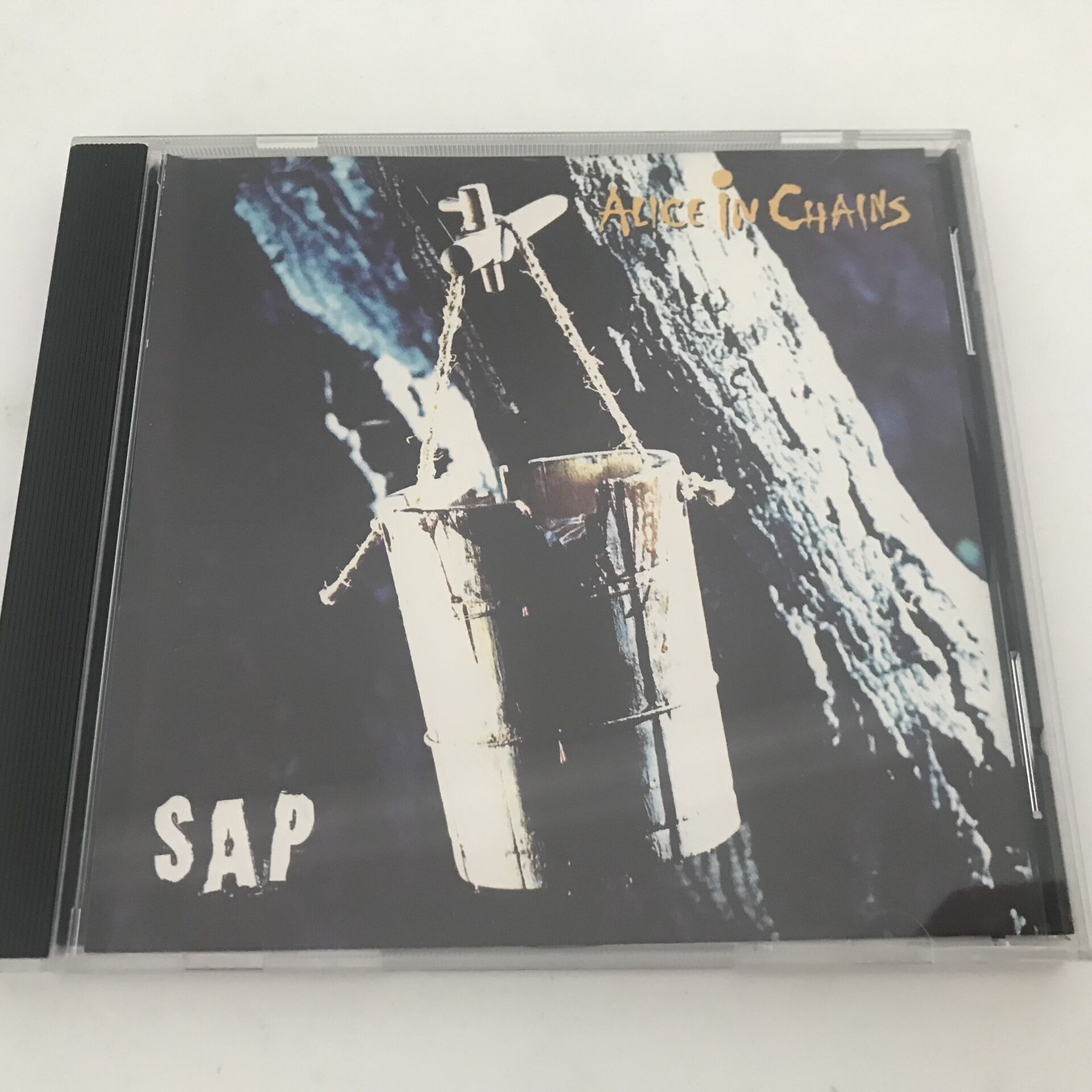 Alice In Chains – Sap