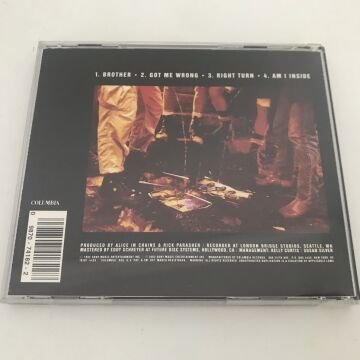 Alice In Chains – Sap