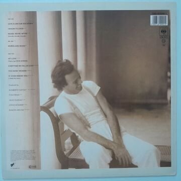 Julio Iglesias ‎– Non Stop