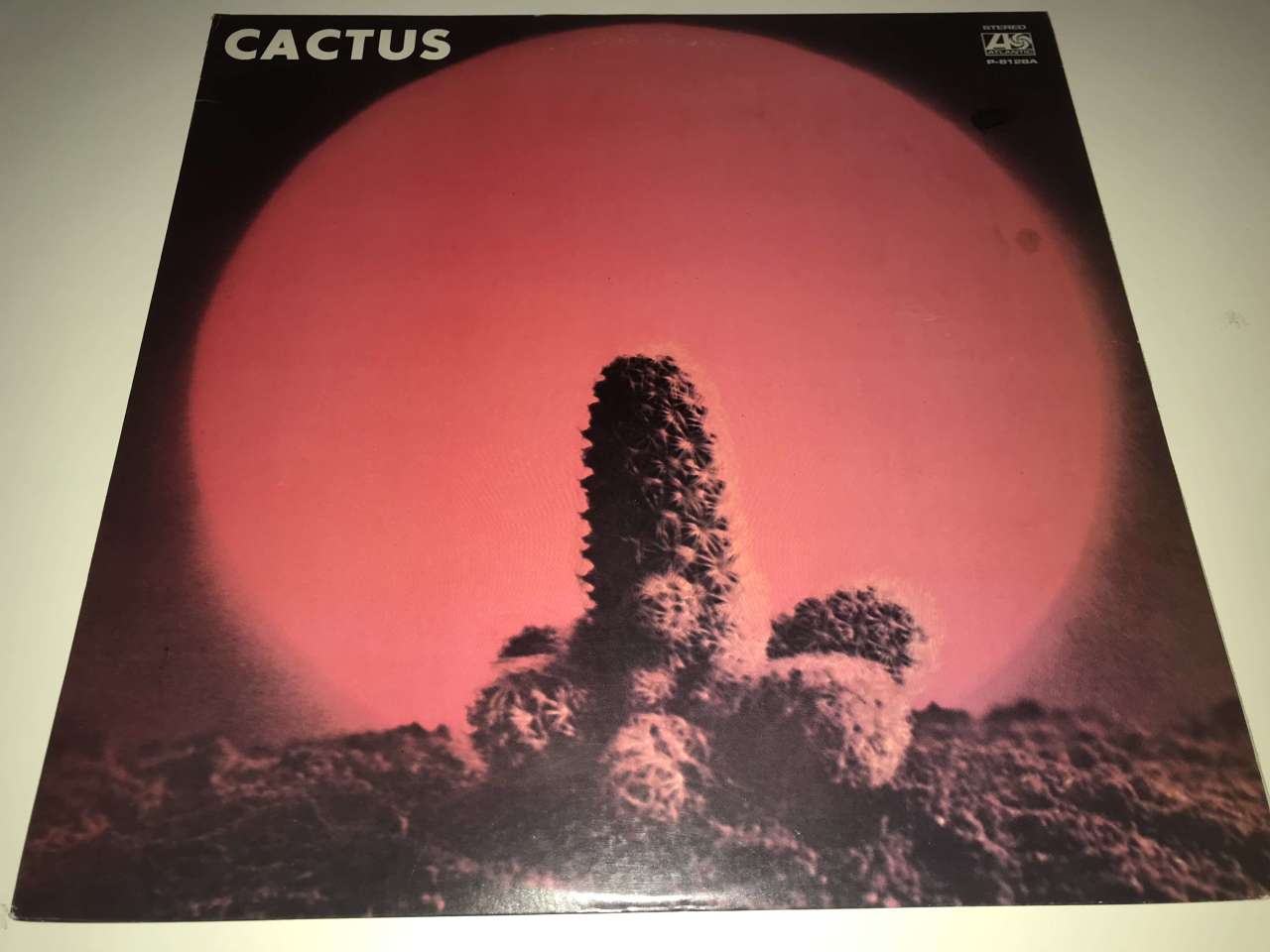 Cactus – Cactus