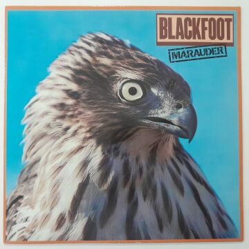 Blackfoot ‎– Marauder