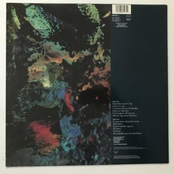 Hothouse Flowers ‎– Home