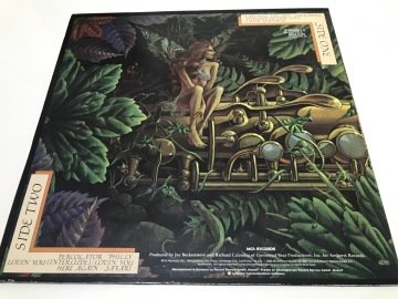 Spyro Gyra ‎– Catching The Sun