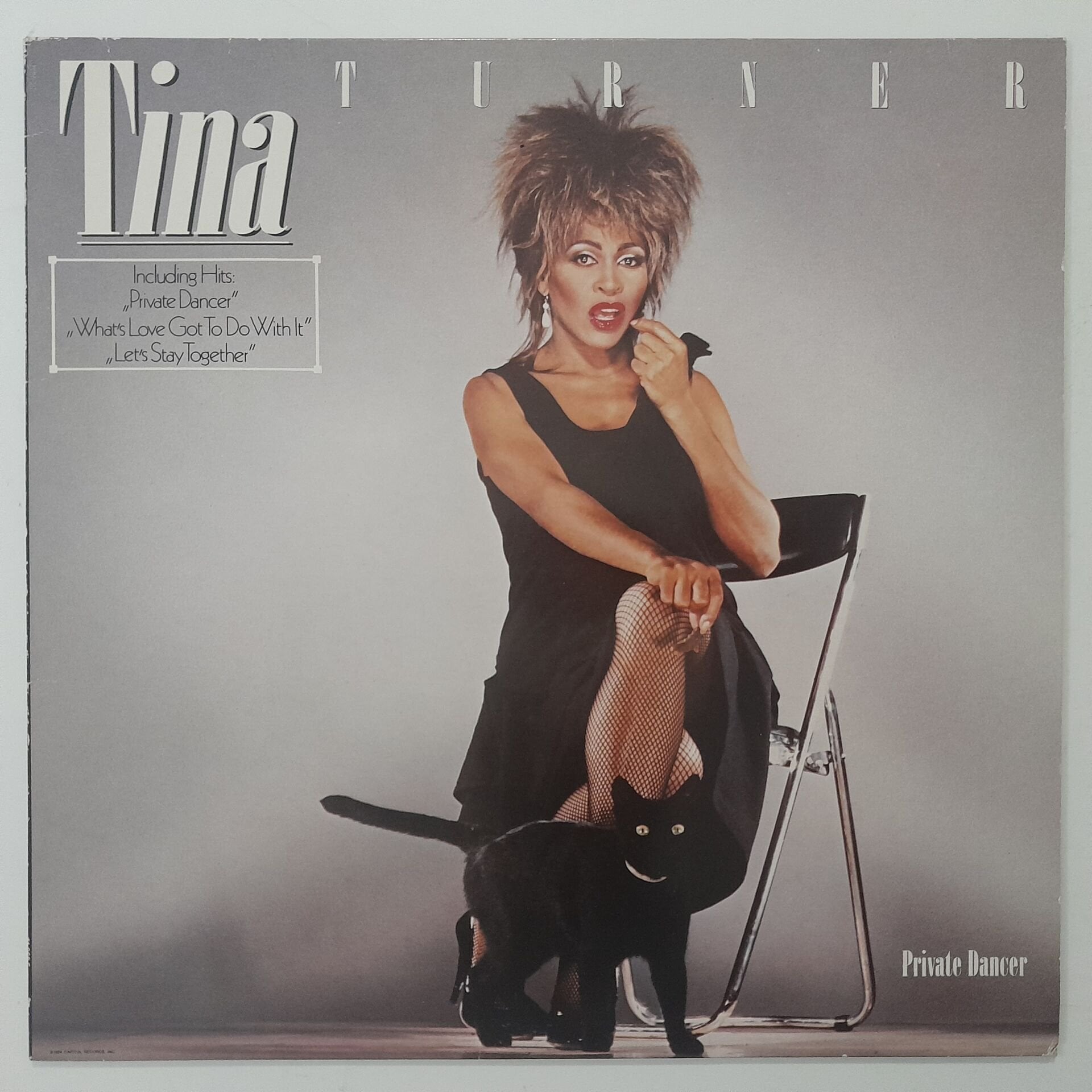 Tina Turner ‎– Private Dancer