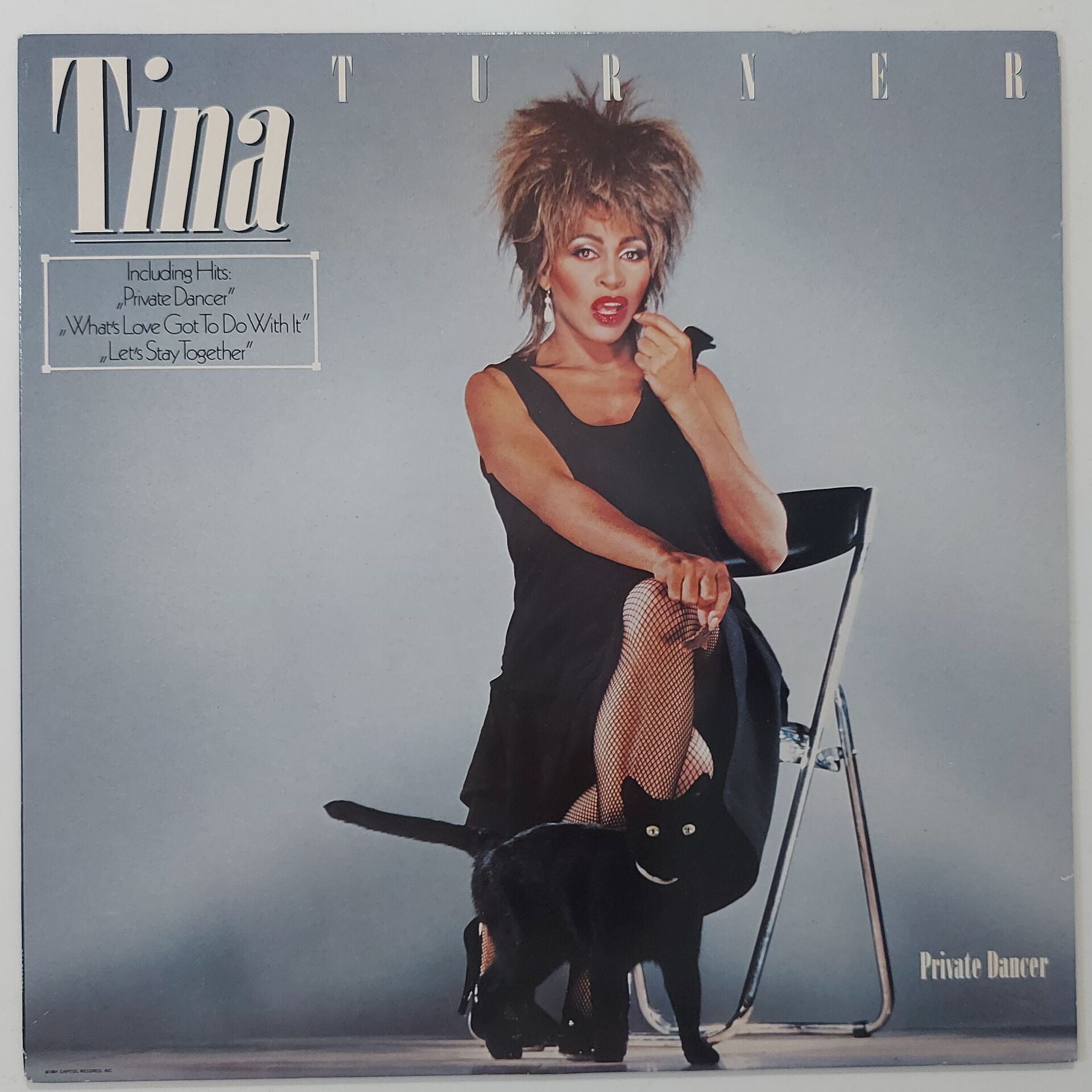 Tina Turner ‎– Private Dancer