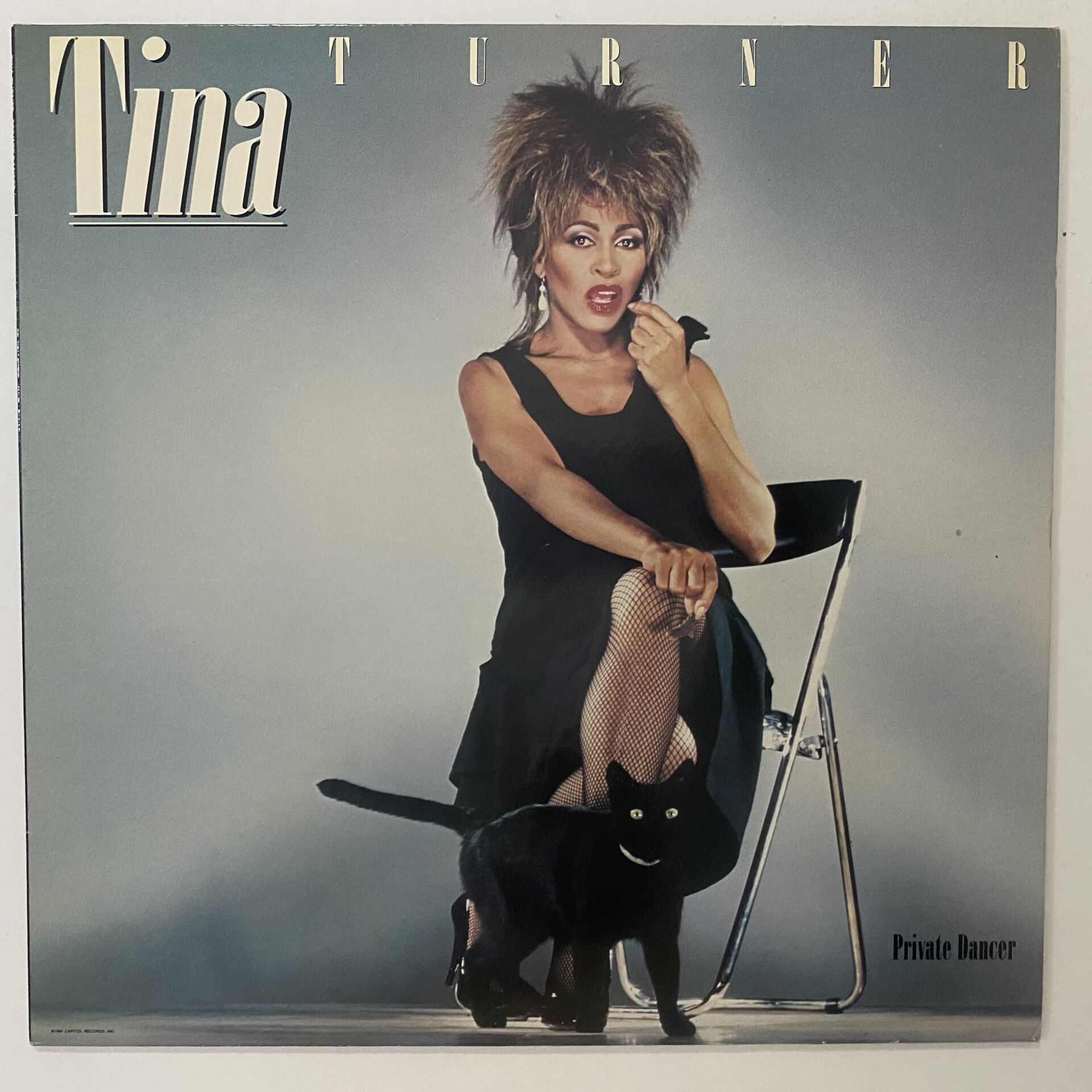 Tina Turner ‎– Private Dancer