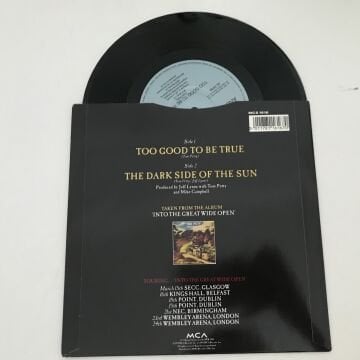 Tom Petty And The Heartbreakers – Too Good To Be True