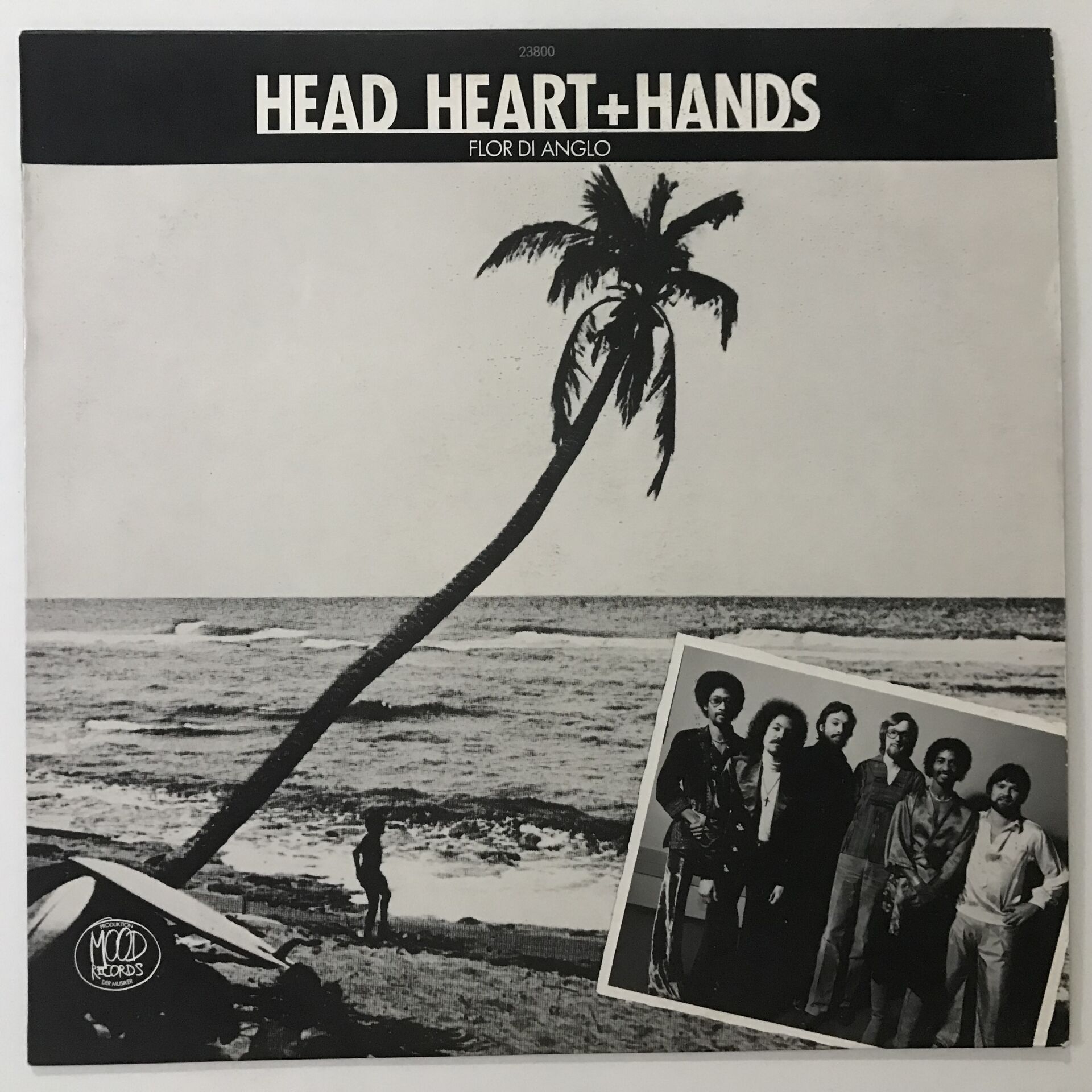 Head, Heart + Hands – Flor Di Anglo